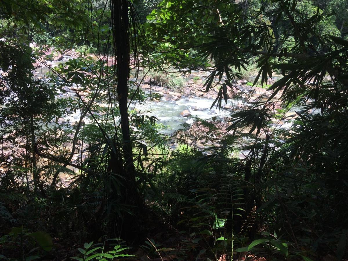 Sinharaja Forest Edge Deniyaya Exterior foto