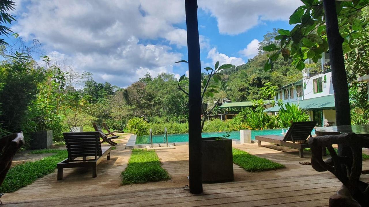 Sinharaja Forest Edge Deniyaya Exterior foto