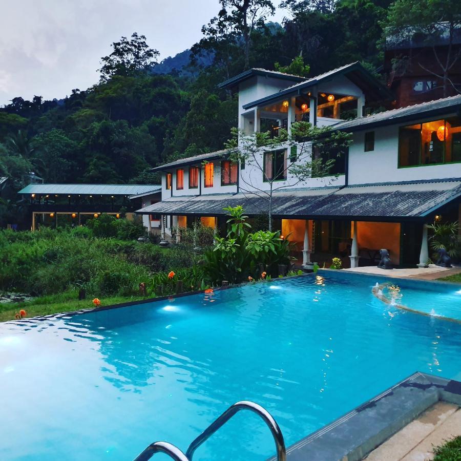 Sinharaja Forest Edge Deniyaya Exterior foto