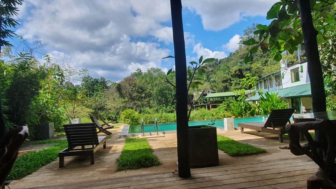 Sinharaja Forest Edge Deniyaya Exterior foto