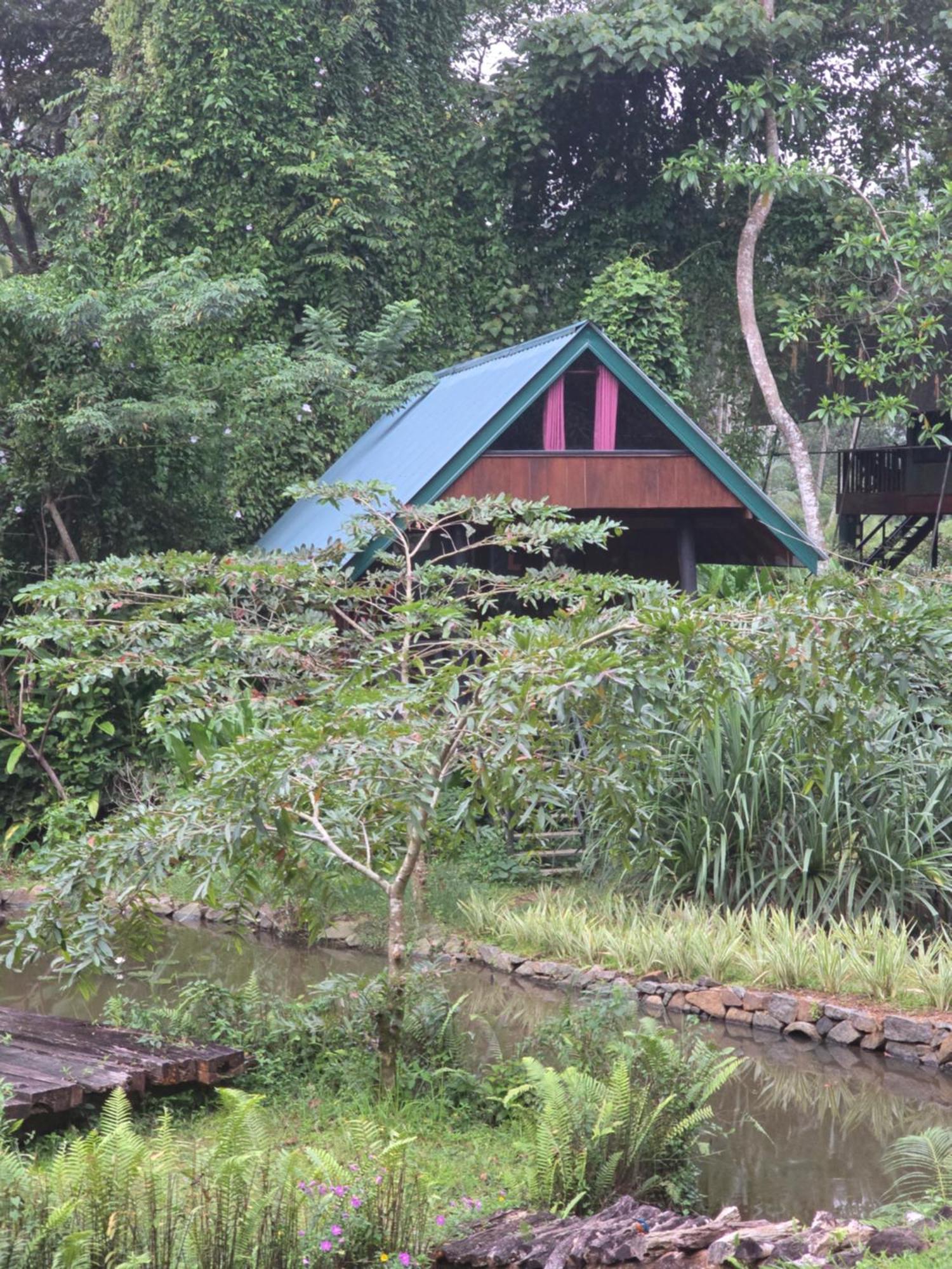Sinharaja Forest Edge Deniyaya Exterior foto