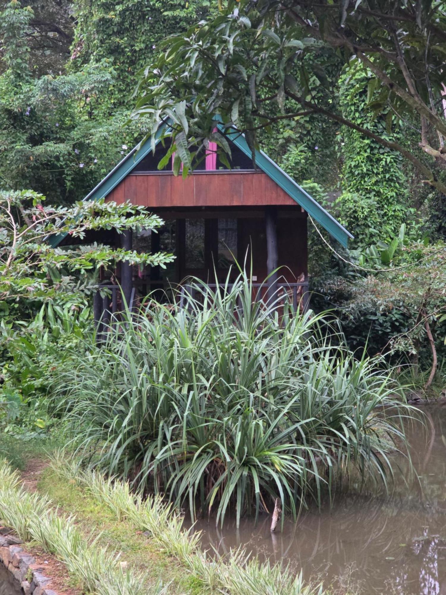 Sinharaja Forest Edge Deniyaya Exterior foto