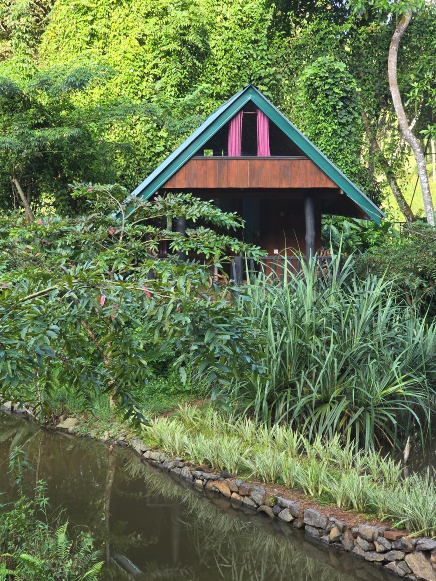 Sinharaja Forest Edge Deniyaya Exterior foto