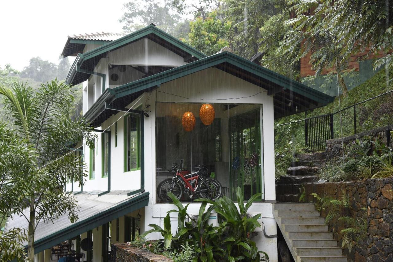 Sinharaja Forest Edge Deniyaya Exterior foto